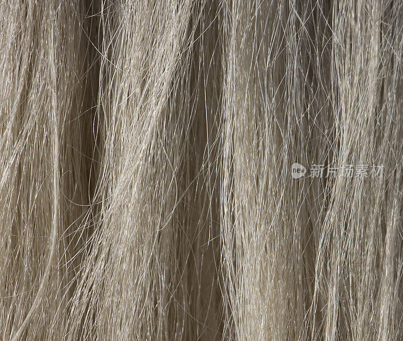 Horse hair texture